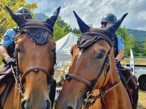 Les chevaux de la Garde républicaine de retour dans la Chaîne des&nbsp;Puys